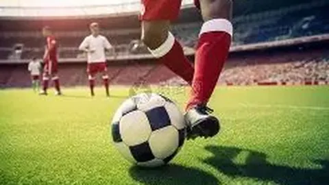 李矛重返国家队助力男单，教练团队首度引入外籍教练