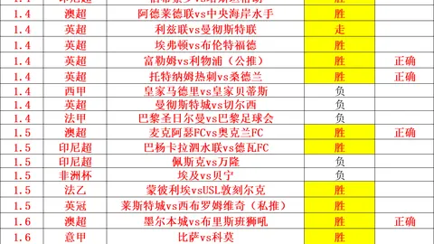“布冯子嗣加入捷克国家队，处子战立下关键一功”